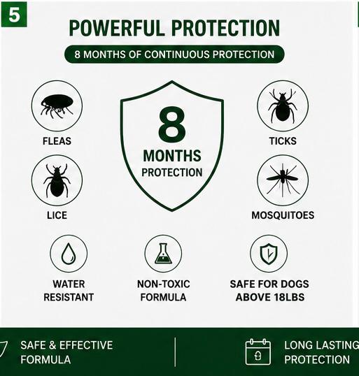 Dog Flea Collar, Flea Collars for Dogs, Natural Flea Tick Collar, 8 Months Protection, Adjustable Size, Easy to Use,2P